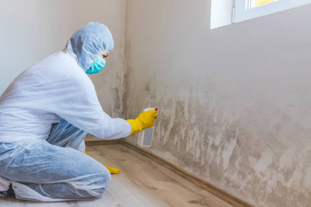 Hvac And Air Duct Mold Remediation inspection of HVAC system in Aydlett